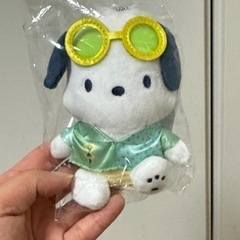 ポチャッコ　ナイトプール　ぬいぐるみ　マスコット