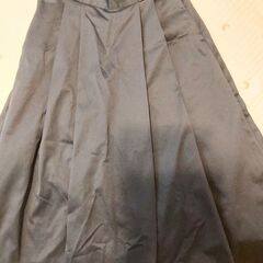 ダントン　チノスカートの画像