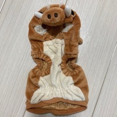 犬の服