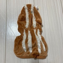 犬の服の画像