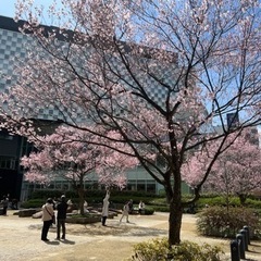 現在8名！🌸【4月6日(土)12:00〜】申し込み不要🌸ひでき会...