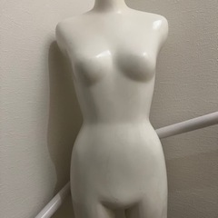 トルソー