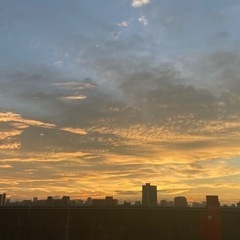 あなたの楽曲で癒しや愛を届けませんか？