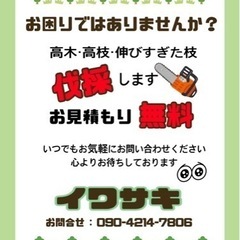 高木・高枝・伸びすぎた枝の伐採