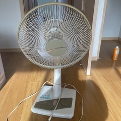 家電 季節、空調家電 扇風機