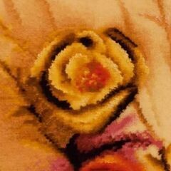 絨毯花の画像