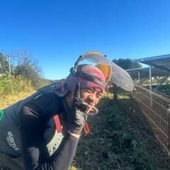 太陽光パネル設置場所での除草作業