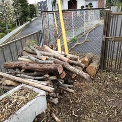 【募集中】☆無料☆　薪　薪材　原木　樹種様々　埼玉　狭山市の画像