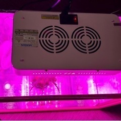 温室　サボテン　多肉植物　塊根植物の画像