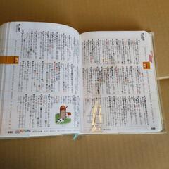 小学生用　国語辞典・漢字辞典セット　カラー刷りの画像