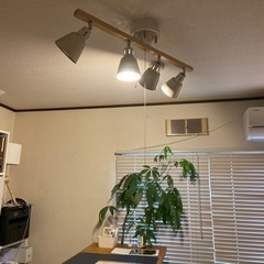 家具 照明器具の画像