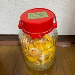 酵素ジュース実習の会の画像