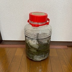 酵素ジュース実習の会の画像