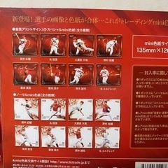 ★カープ★色紙(新井監督、鈴木誠也含む)　2017全16種コンプリートの画像