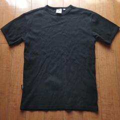 AVIREX　Ｔシャツ　Mサイズ
