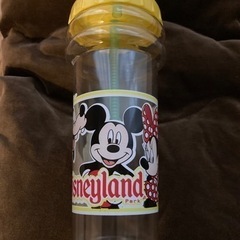 【終了しました】ディズニーランド（アナハイム）のドリンクカップを差上げますの画像