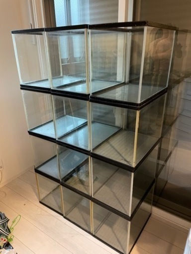 45cm水槽（45.35.30）×12