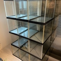 45cm水槽（45.35.30）×12