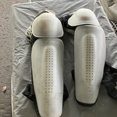 ダイネーゼプロテクター