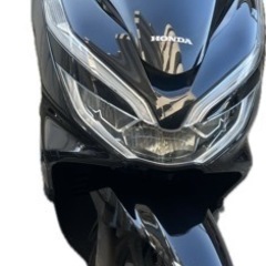 PCX  125 jf81 距離1500km 美品低走行