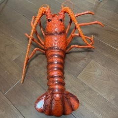 【交渉中】おもちゃの伊勢海老40㎝の画像