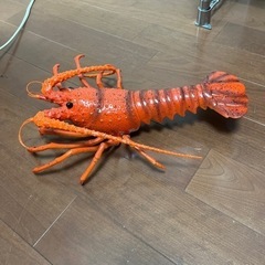 【交渉中】おもちゃの伊勢海老40㎝の画像