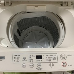 家電 生活家電 洗濯機