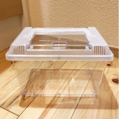 飼育ケース　3ℓサイズ　美品