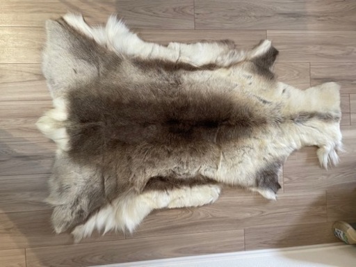 家具 カーペット/マット/ラグ