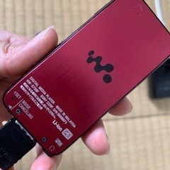 ソニーウォークマン NW−S739F 容量15GBの画像