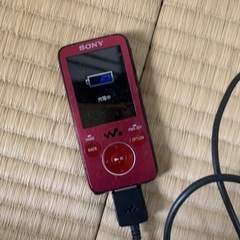ソニーウォークマン NW−S739F 容量15GBの画像