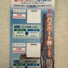 ナガシマスパーランド、湯あみチケット テーマパーク/遊園地