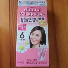 ヘアカラー　白髪染め　ヘアマニキュア　ヘナの画像