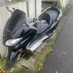 【決まりました】フォルツァmf08 の画像