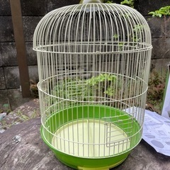 鳥かご