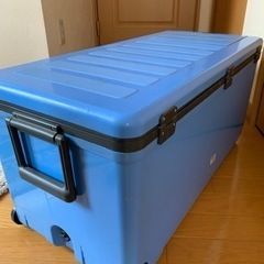 伸和(SHINWA)  クーラーボックス ホリデークーラー500の画像