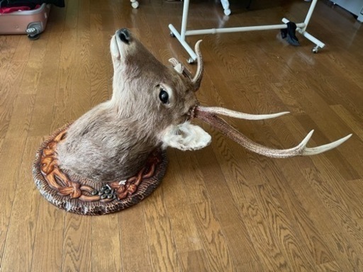 家具 インテリア雑貨/小物 置物、オブジェ