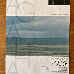 映画フライヤーの画像