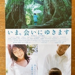 映画フライヤーの画像