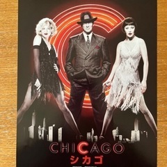 映画フライヤーの画像