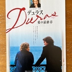 映画フライヤーの画像