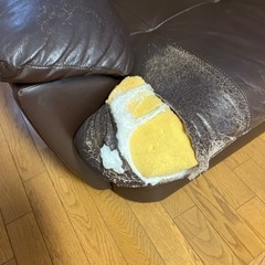 🔶あげます🔶もらってください🔶中古🔶ソファ🔶二人掛けの画像