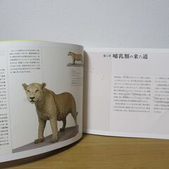 大哺乳類展　陸のなかまたち　国際生物多様性年　Mammals Diversity in  Terrestrial lifeの画像