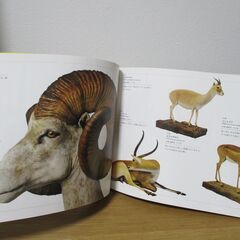 大哺乳類展　陸のなかまたち　国際生物多様性年　Mammals Diversity in  Terrestrial lifeの画像