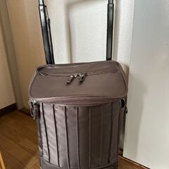 スワニー　キヤリーカート