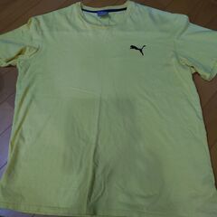 シャツとＴシャツの画像