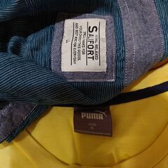 シャツとＴシャツの画像