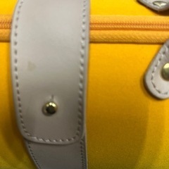 ブーブグリコ シャンパンケース シャンパングラス２個セットの画像