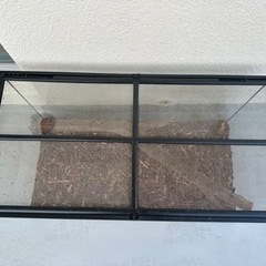 まだあります！　グラステラリウム　9045の画像