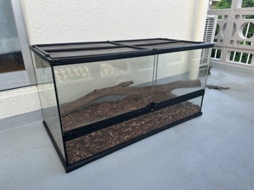 まだあります！ グラステラリウム 9045